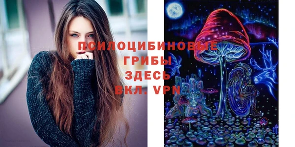 молекула духа Кукмор