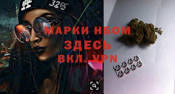 сатива Дмитров