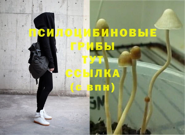 молекула духа Кукмор