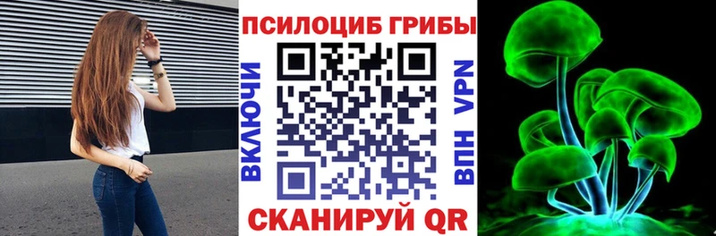 Галлюциногенные грибы Psilocybine cubensis  Светлогорск 